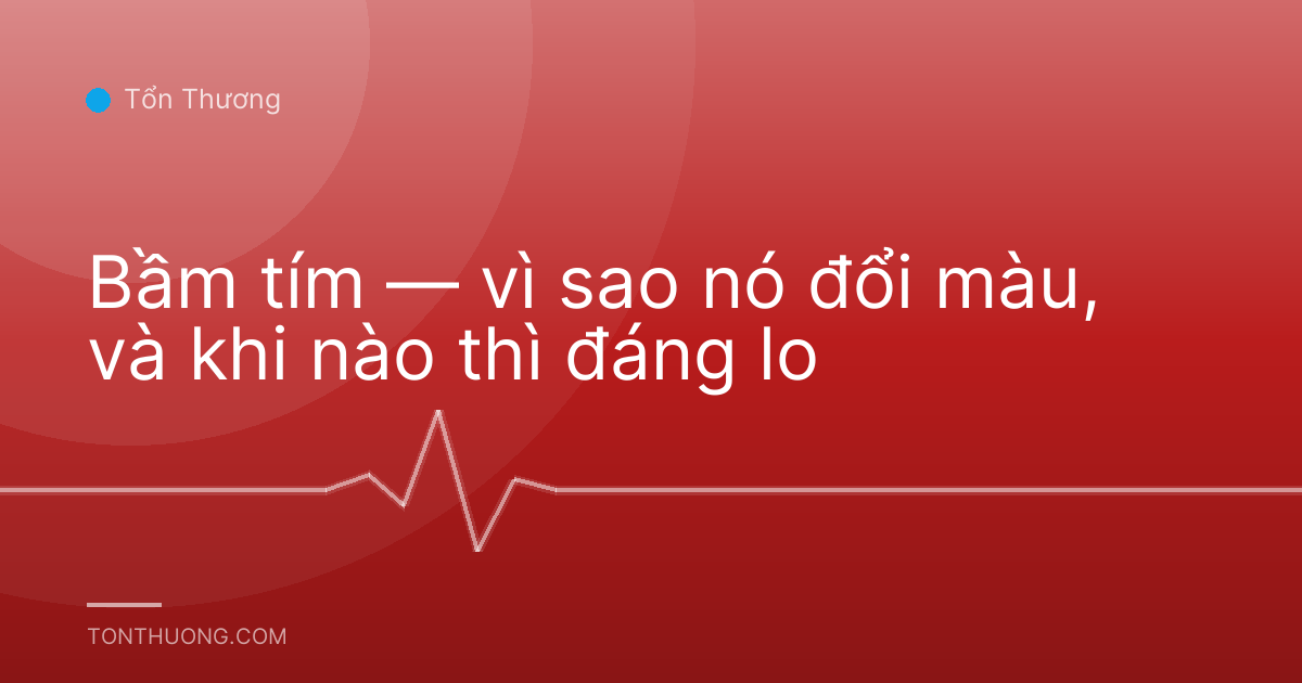 Bầm tím — vì sao nó đổi màu, và khi nào thì đáng lo