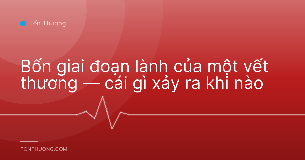 Bốn giai đoạn lành của một vết thương — cái gì xảy ra khi nào