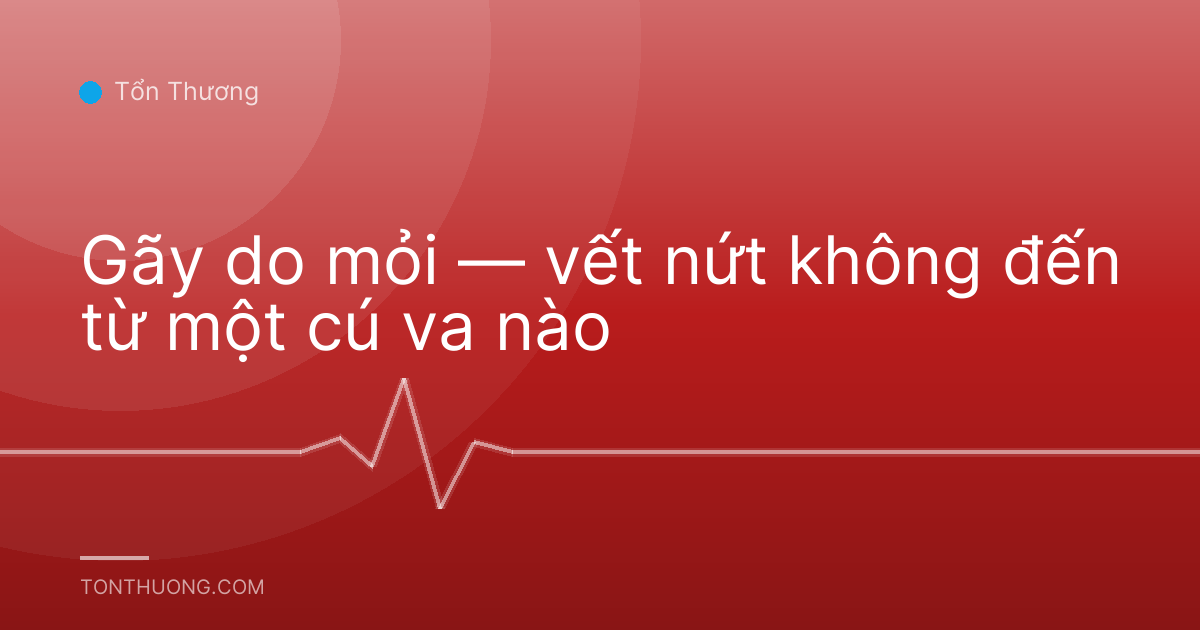 Gãy do mỏi — vết nứt không đến từ một cú va nào