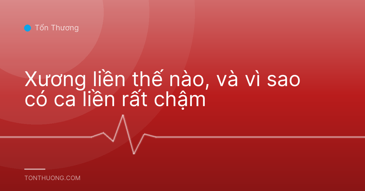 Xương liền thế nào, và vì sao có ca liền rất chậm